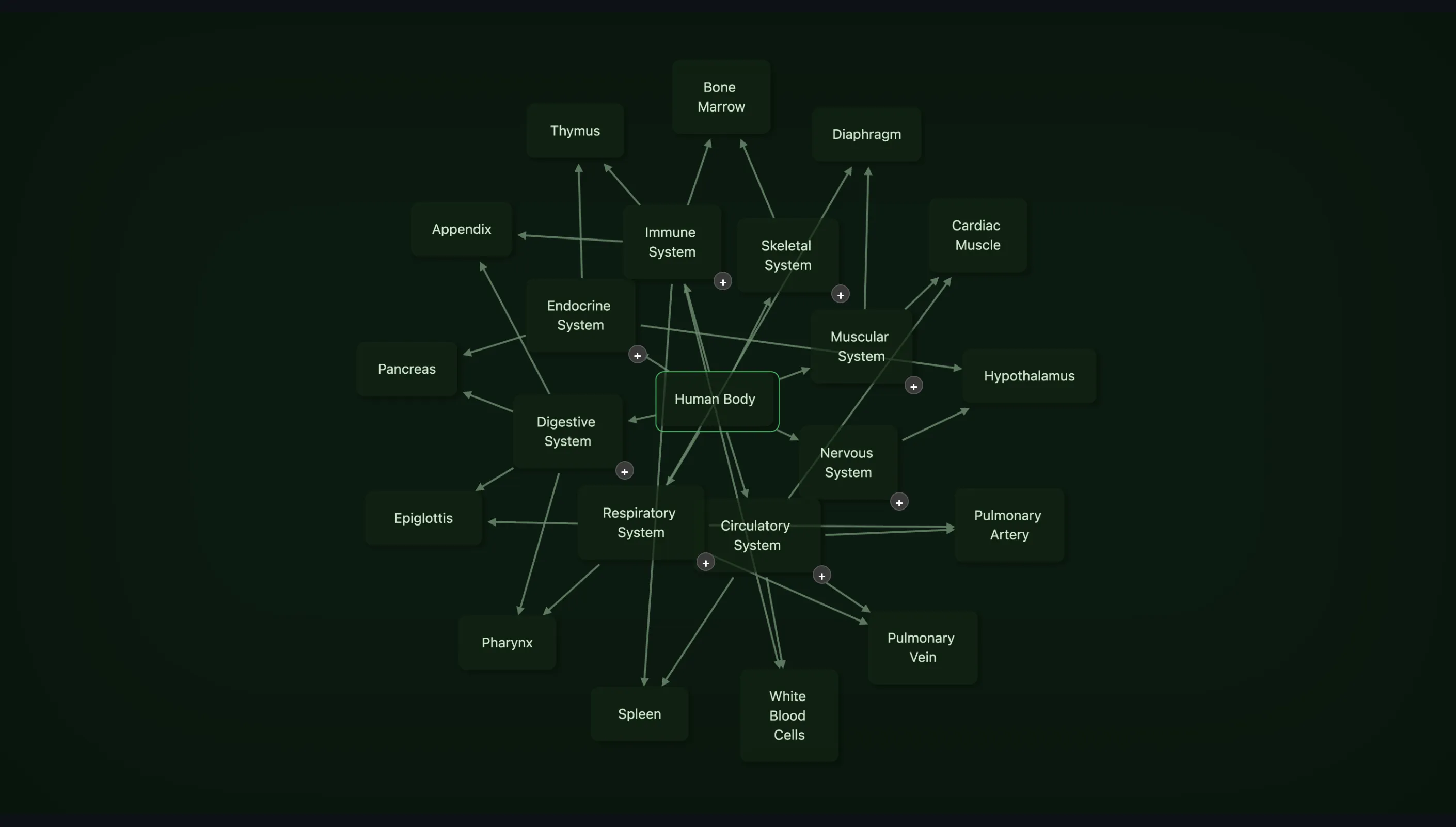 A Knogra scene for Human Body with about twenty-five nodes: the eight body systems and organs such as Thymus, Pancreas, Spleen and Pulmonary Artery, joined by arrows that cross each other in every direction.